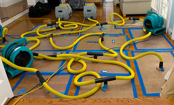 Professional Basement Flood Cleanup technician working in Stanwood, WA
